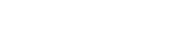 MH Web Solutions aus Weinfelden – Professionelle Weblösungen für Ihr Business